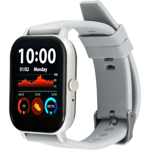 

Смарт-часы AMICO GO FUN PULSEOXIMETER and TONOMETER gray