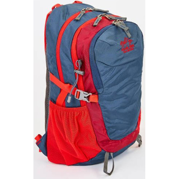 

Рюкзак спортивный (с жесткой спинкой) Color Life TY-5293-3 Темно-синий-красный