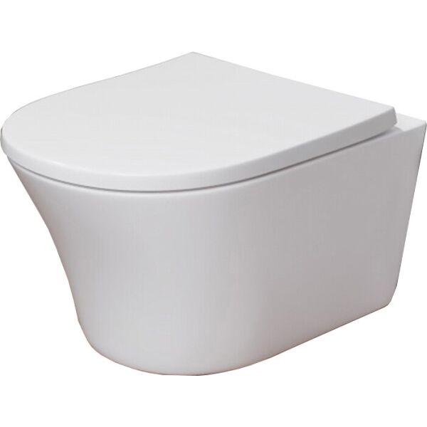 

Унитаз подвесной безободковый FlashClean C45A1700SC