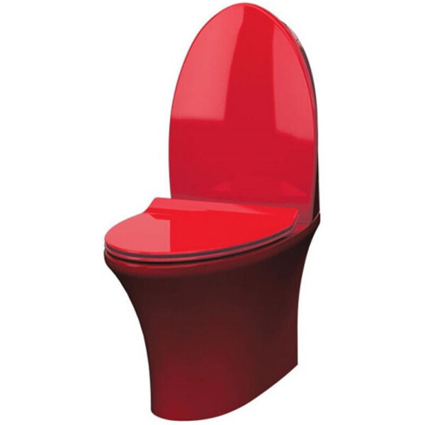 

Унитаз Idevit Rena с сидением Soft Close SETK2904-0205-081-1-6200