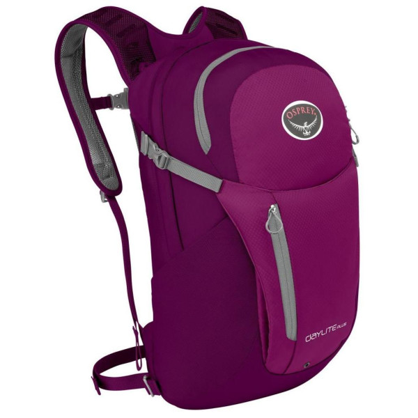 

Рюкзак Osprey Daylite 13 Eggplant Purple (фиолетовый) O/S
