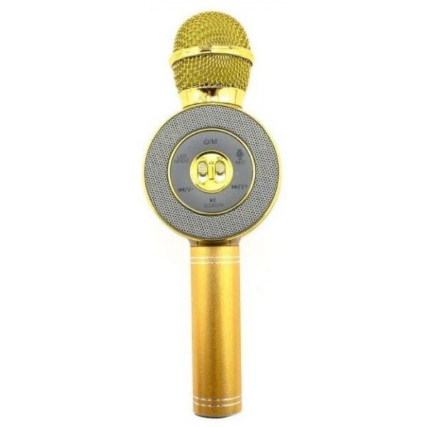 

Микрофон DM Karaoke WSTER WS668 Золото