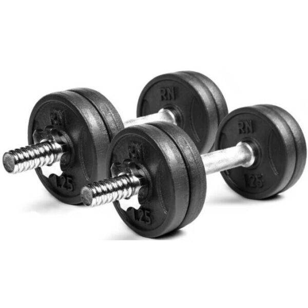 

Гантели разборные чугунные 2 по 13,5 кг RN-Sport (RN_QTR13х2)