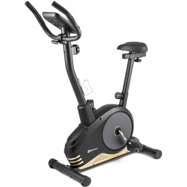 

Hop-Sport HS-2080 Spark model 2020 black/gold (5902308216389)