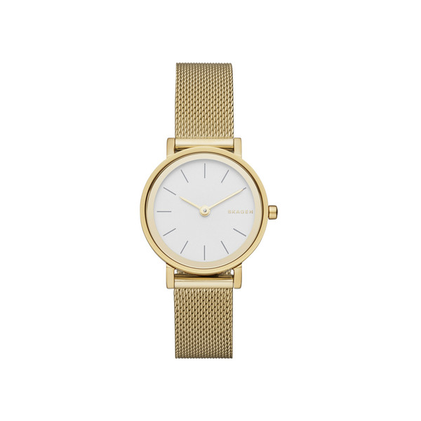 

Наручные часы Skagen SKW2443
