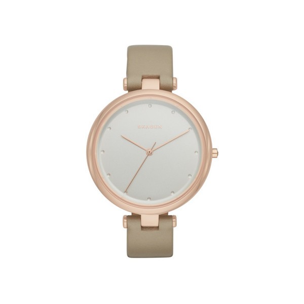

Наручные часы Skagen SKW2484