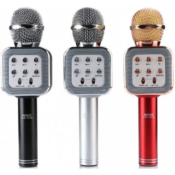 

Микрофон DM Karaoke WS1818 S