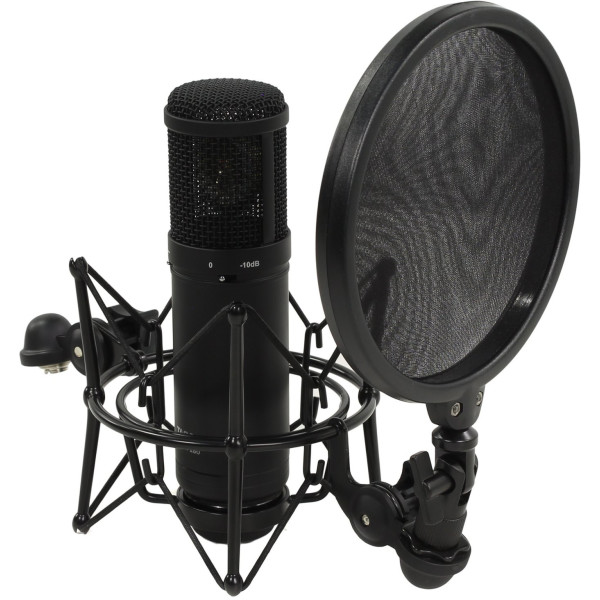 

Микрофон Tascam TM-280