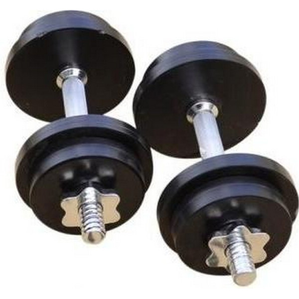 

Набор гантелей RN Sport стальные 2 шт по 12 кг (BlackStD-12) покрашены