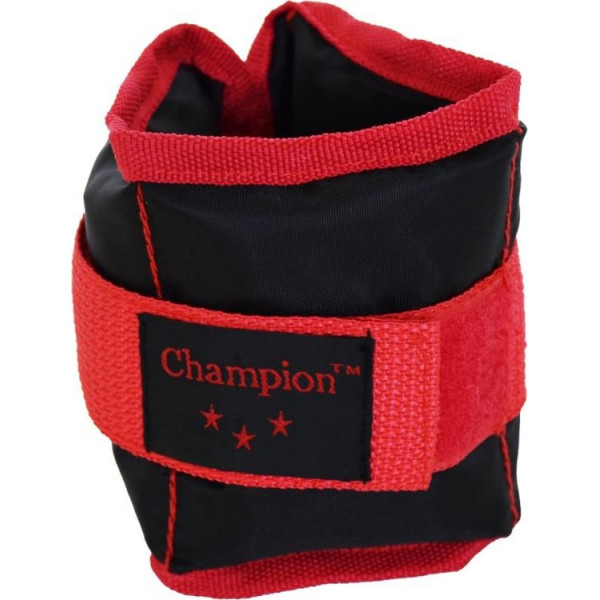 

Champion 2 шт по 1 кг (А00014)