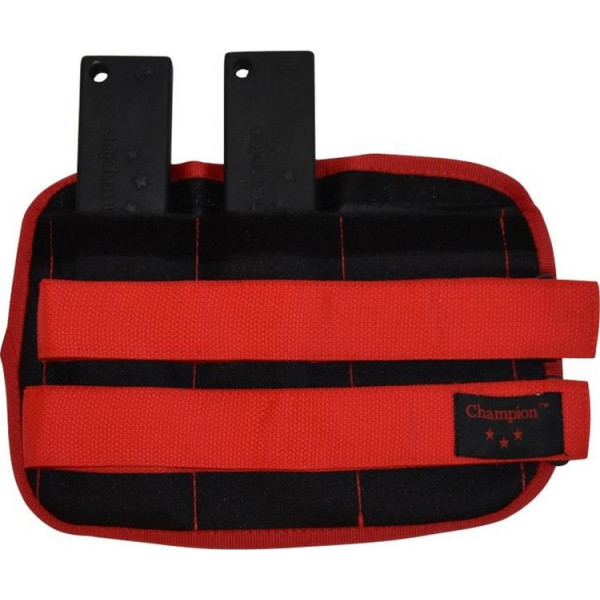 

Champion 2 кг со сменным весом до 3 кг (A00343-2)