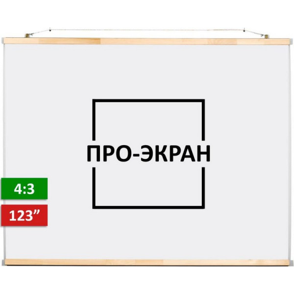 

Проекционный экран ПРО-ЭКРАН 250 на 188 см (4:3), 123 дюймов