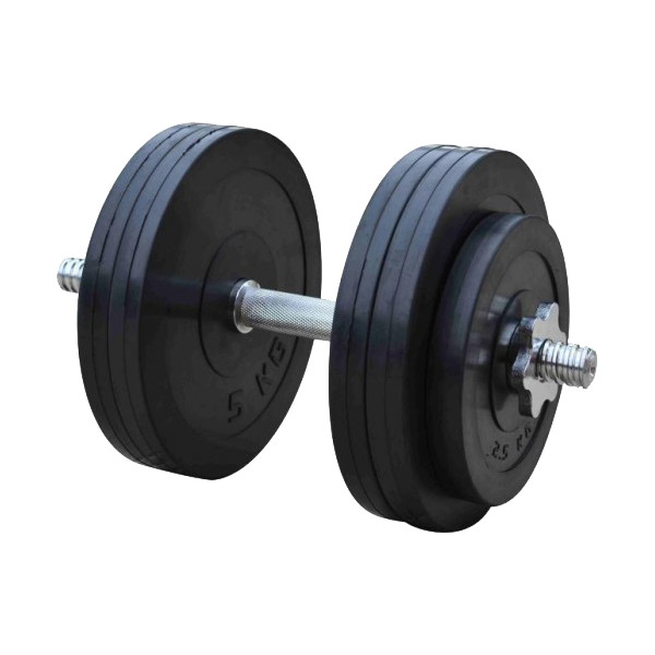 

Гантель RN-Sport 26 кг (RN_OD26)