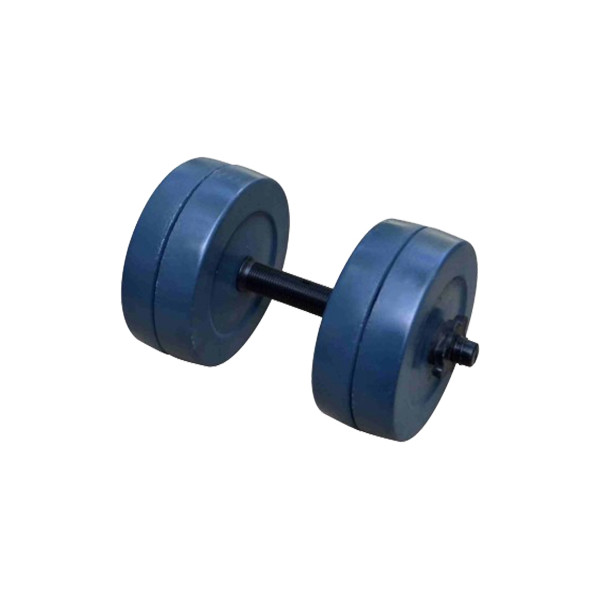 

Набор гантелей RN-Sport 20 кг (RN1135)