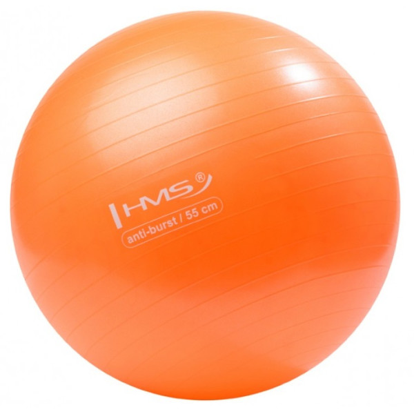 

Фитбол HMS YB02 55 см Anti-Burst Orange