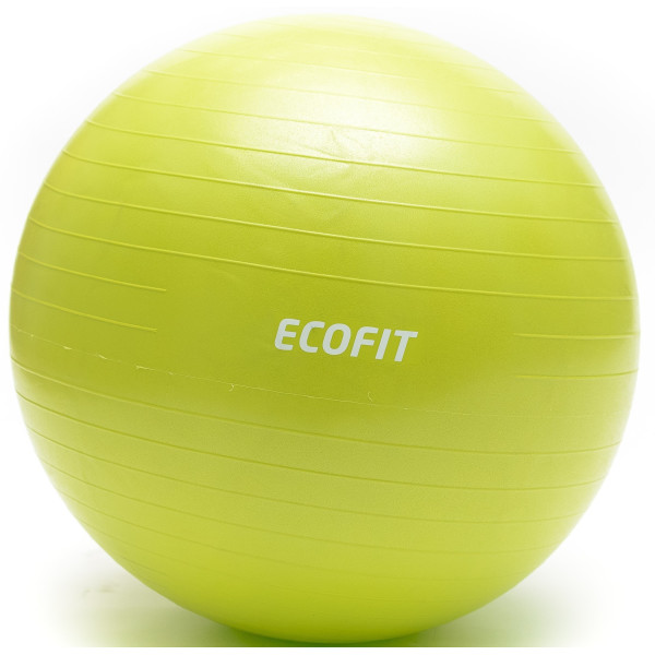 

Фитбол Ecofit MD1225 65см/1100 гр (К00015205)