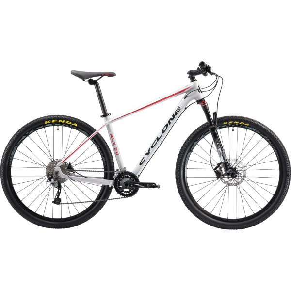 

CYCLONE 29" АLX 22" серый (19-017) 2019