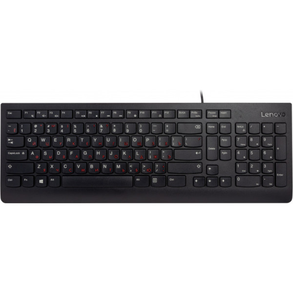 

Lenovo 300 USB (GX30M39684)
