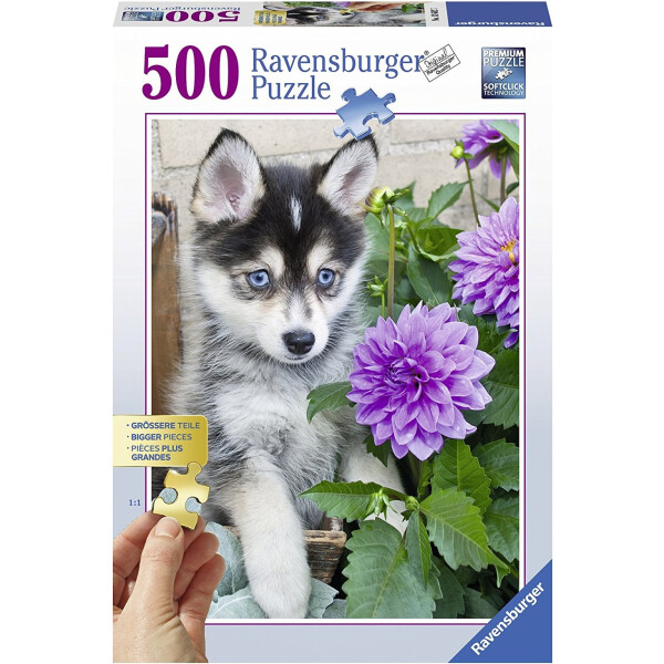 

Пазл Ravensburger Щенок хаски 500 элементов (RSV-136827)