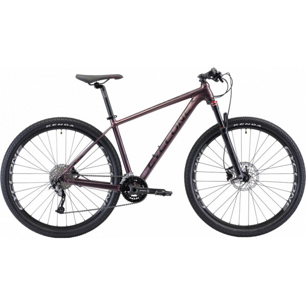 

CYCLONE 29" ALX 18" (фиолет) 20-011 2020