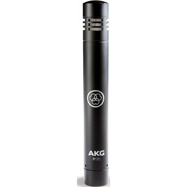 

Микрофон AKG Perception P170 фото