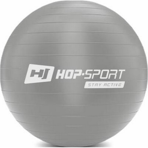

Фитбол Hop-Sport 45cm серебристый + насос 2020 (5902308218857)