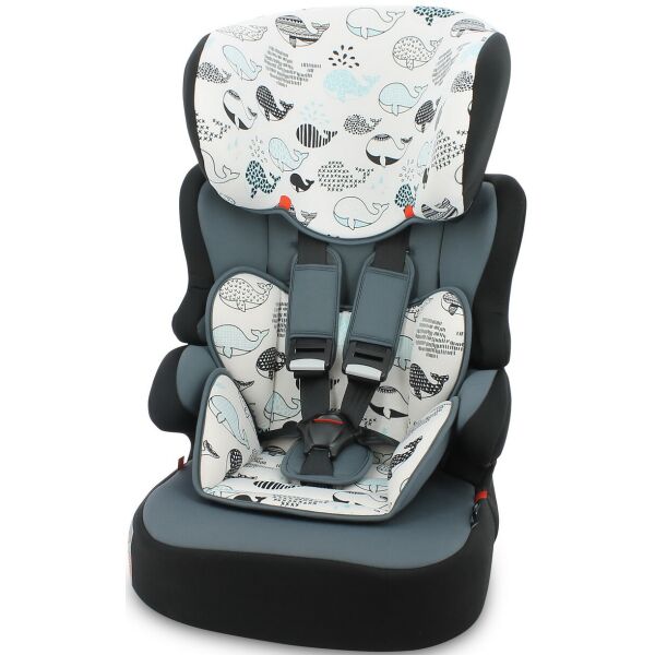 

Lorelli X-DRIVE + (grey whales)