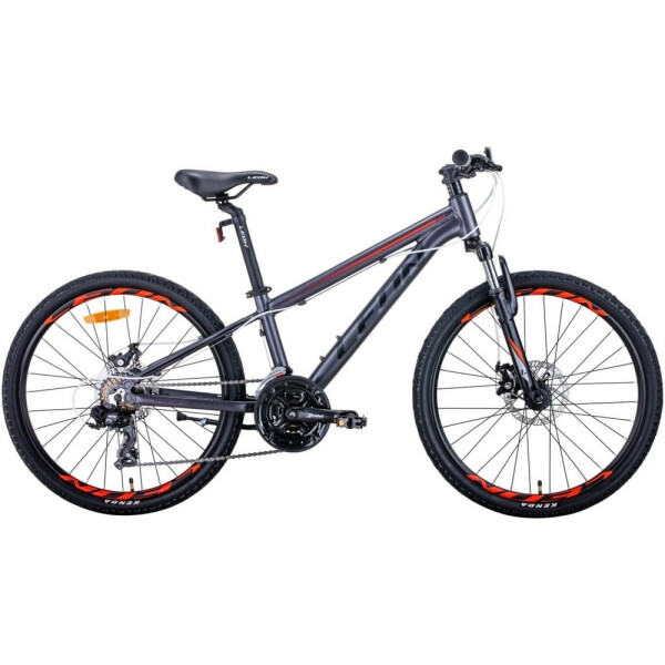 

24" Leon JUNIOR AM DD 12,5" антрацитовый с красным (м) 2020