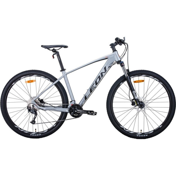 

29" Leon TN-70 HDD 19" серый (м) 2020