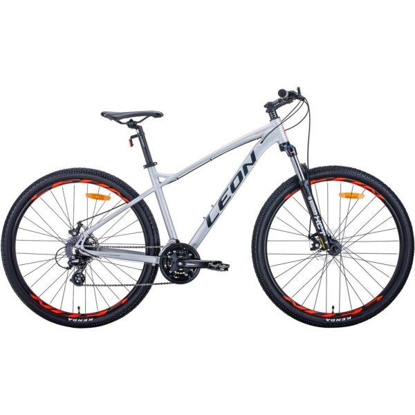 

29" Leon TN-90 DD 18" серый (м) 2020