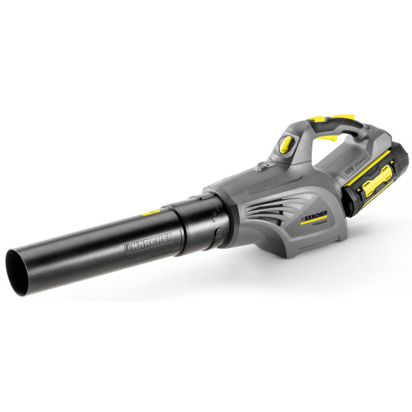 

Karcher LB 850 BP (без АКБ и ЗУ) (1.442-110.0)