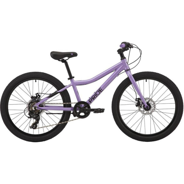 

24" Pride FRIDA 4.1 фиолетовый 2020 (SKD-92-92)