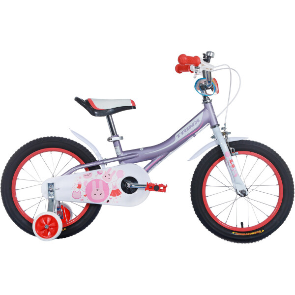 

Велосипед Princess 2.0 (Trinx) 16" Pink-Pink-White