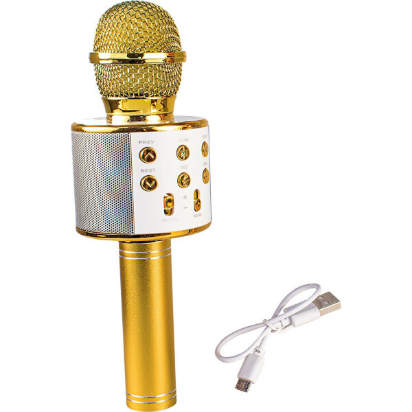 

Игрушка Qunxing Микрофон Золотой (WS-858-2)