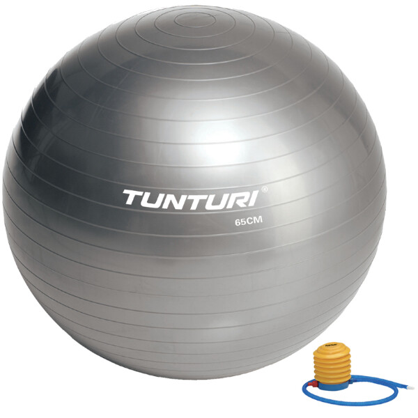 

Фитбол (мяч для фитнеса) Tunturi Gymball 65 cm 14TUSFU278 (14TUSFU278)