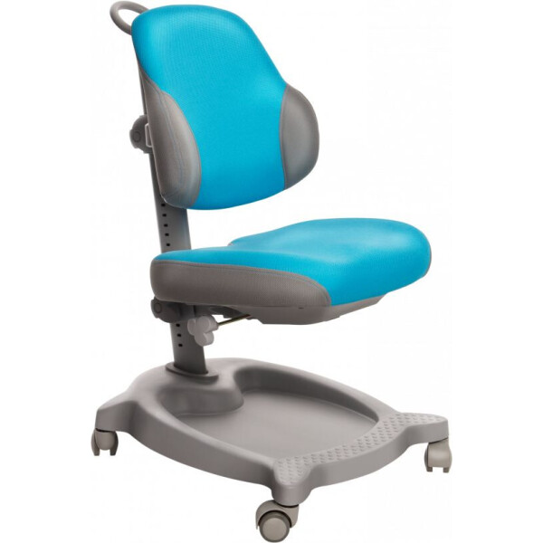 

Кресло GT Racer C-1011 Orthopedic Blue