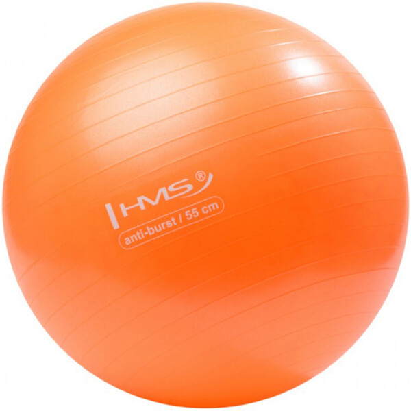 

Мяч для фитнеса (фитбол) HMS YB02 55 см Anti-Burst Orange YB02-55-ORG (3880037)
