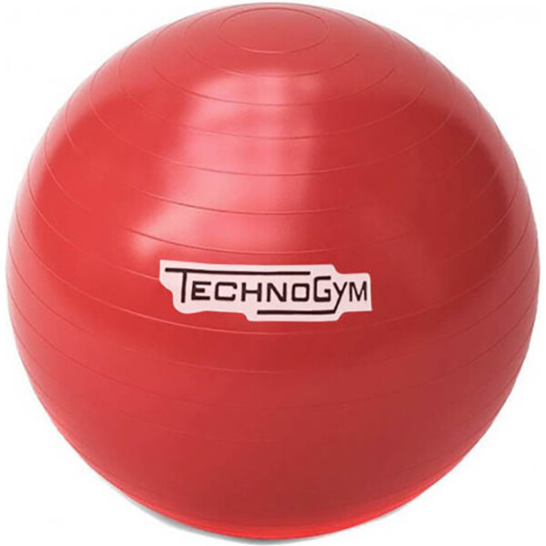 

Мяч для фитнеса (гимнастический мяч) TechnoGym 75 см красный (TG-75-R)