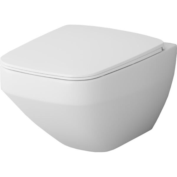 

Унитаз подвесной безободковый FlashClean, C50A1700SC