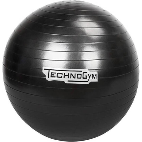 

Мяч для фитнеса (гимнастический мяч) TechnoGym 75 см черный (TG-75-BL)