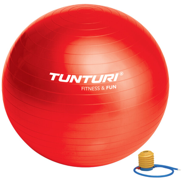 

Фитбол (мяч для фитнеса) Tunturi Gymball 65 cm 14TUSFU170 (14TUSFU170)