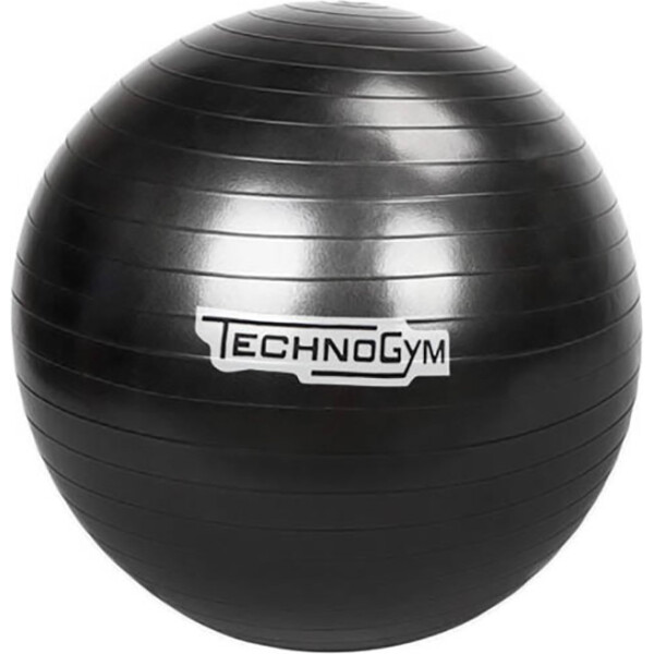 Technogym мяч