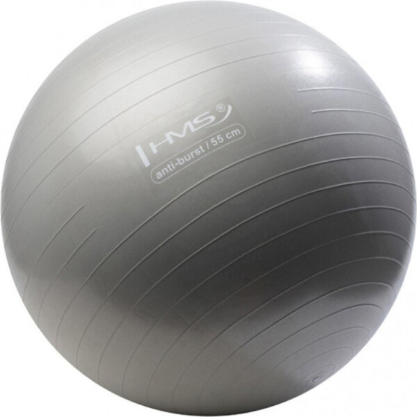 

Мяч для фитнеса (фитбол) HMS YB02 55 см Anti-Burst Silver YB02-55-SL (3880036)