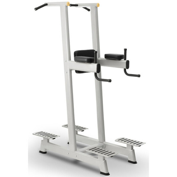 

Станок комбинированный профессиональный Master-Sport Hip Flex/Chin Bar BML 13 (BML 13)