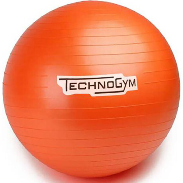 

Мяч для фитнеса (гимнастический мяч) TechnoGym 75 см оранжевый (TG-75-OR)