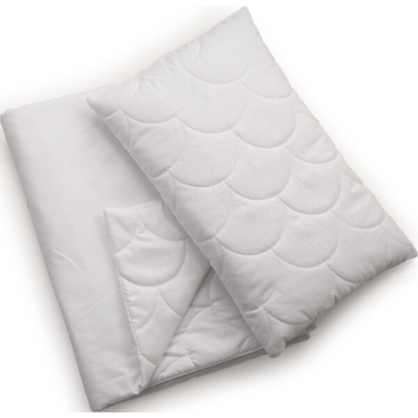 

Одеяло и подушка Twins Premium 100 120х90 White