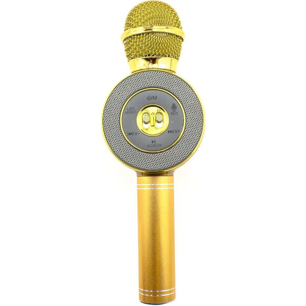 

WSTER WS-668 Bluetooth Gold (in-136)