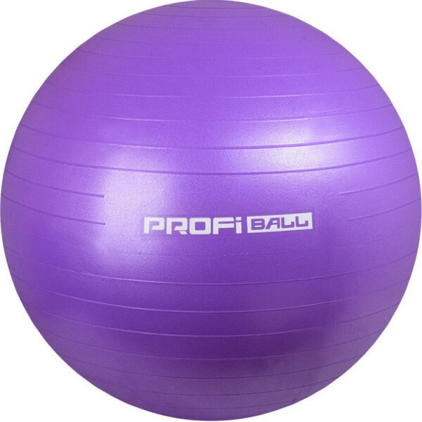 

Profi MS0276 65 см (фиолетовый)