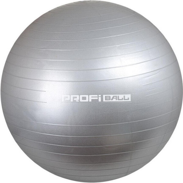 

Profi MS0277 75 см (серебристый)
