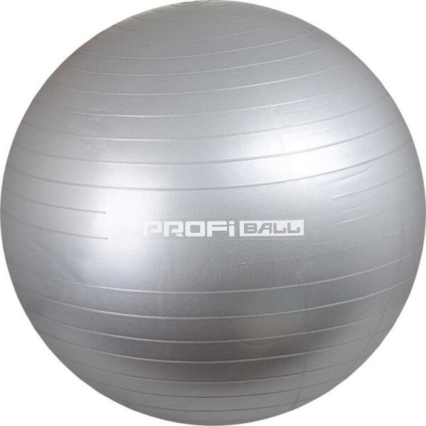 

Profi MS0275 55 см (серебристый)